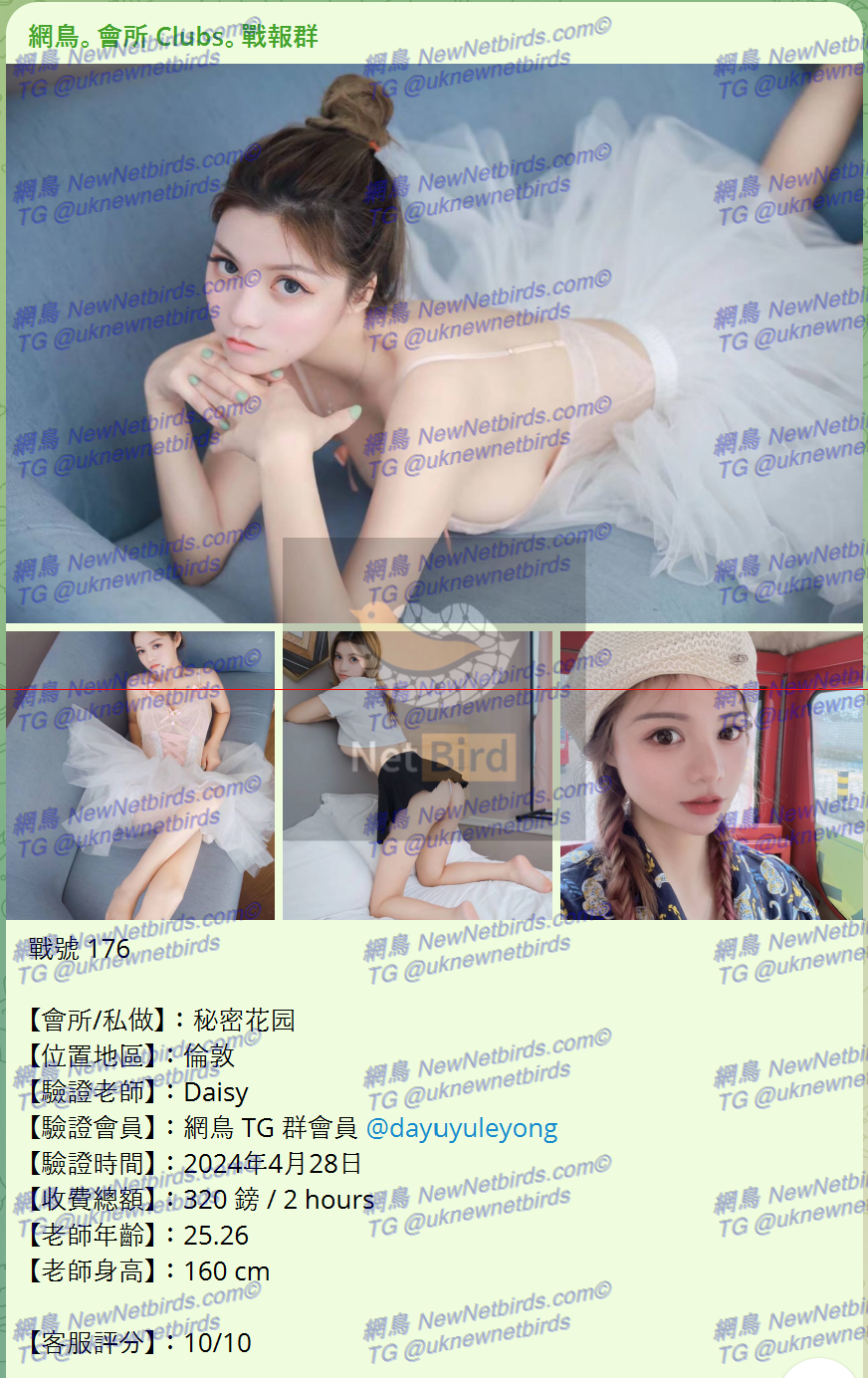 戰號 176 1.png